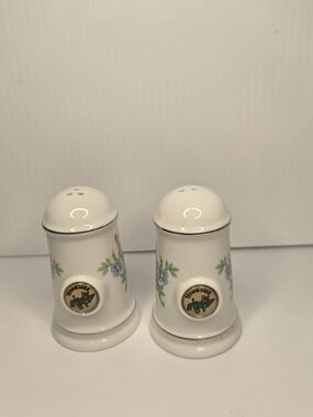 Tennessee Salt and Pepper Shaker Set